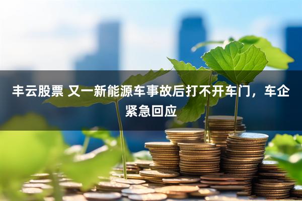 丰云股票 又一新能源车事故后打不开车门，车企紧急回应
